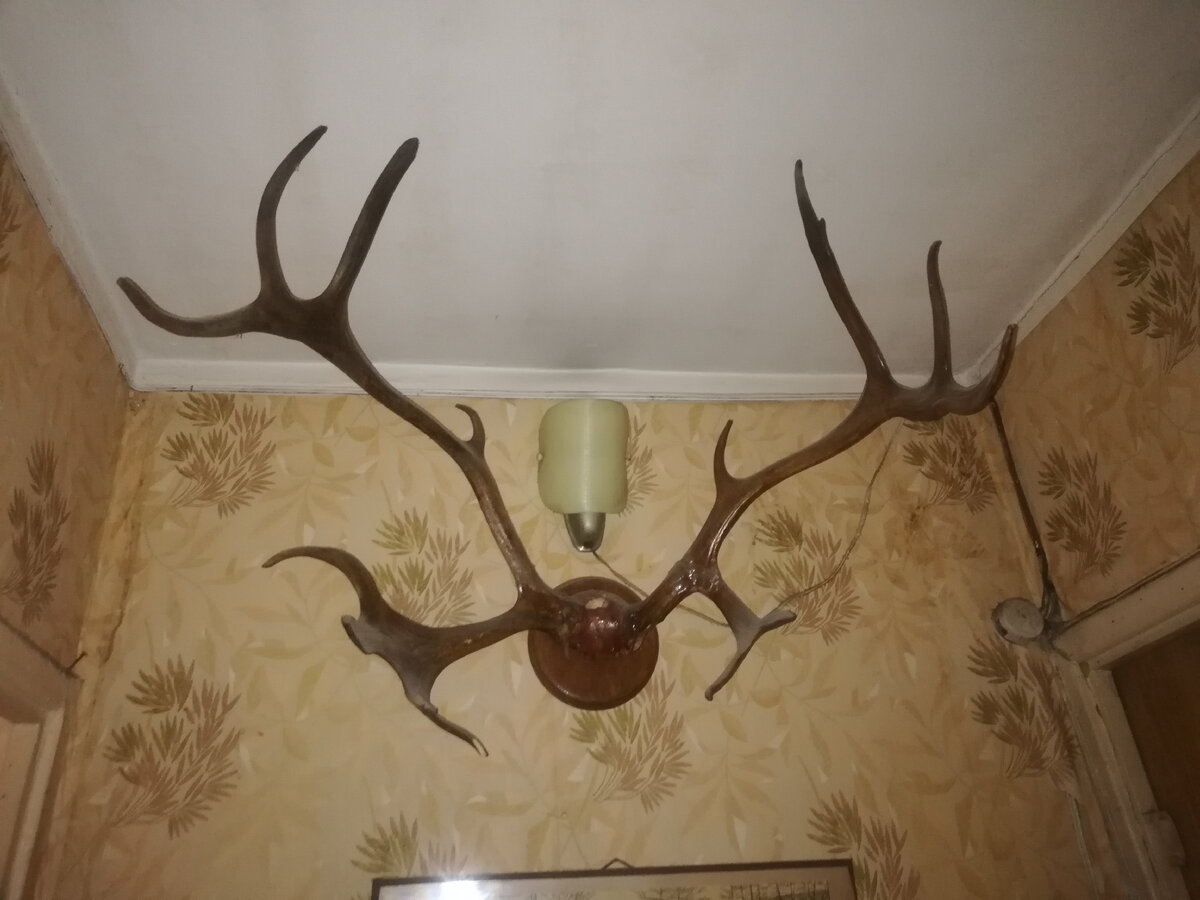 А ещё вот такое есть😁