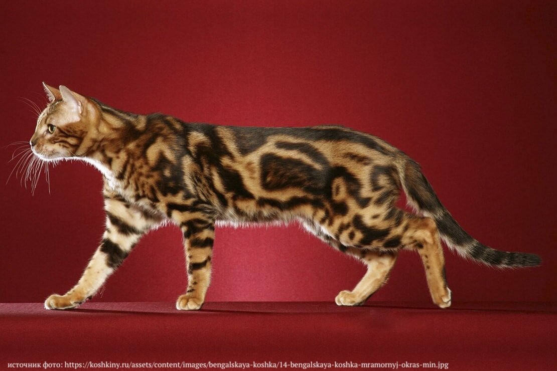 Чёрный мрамор