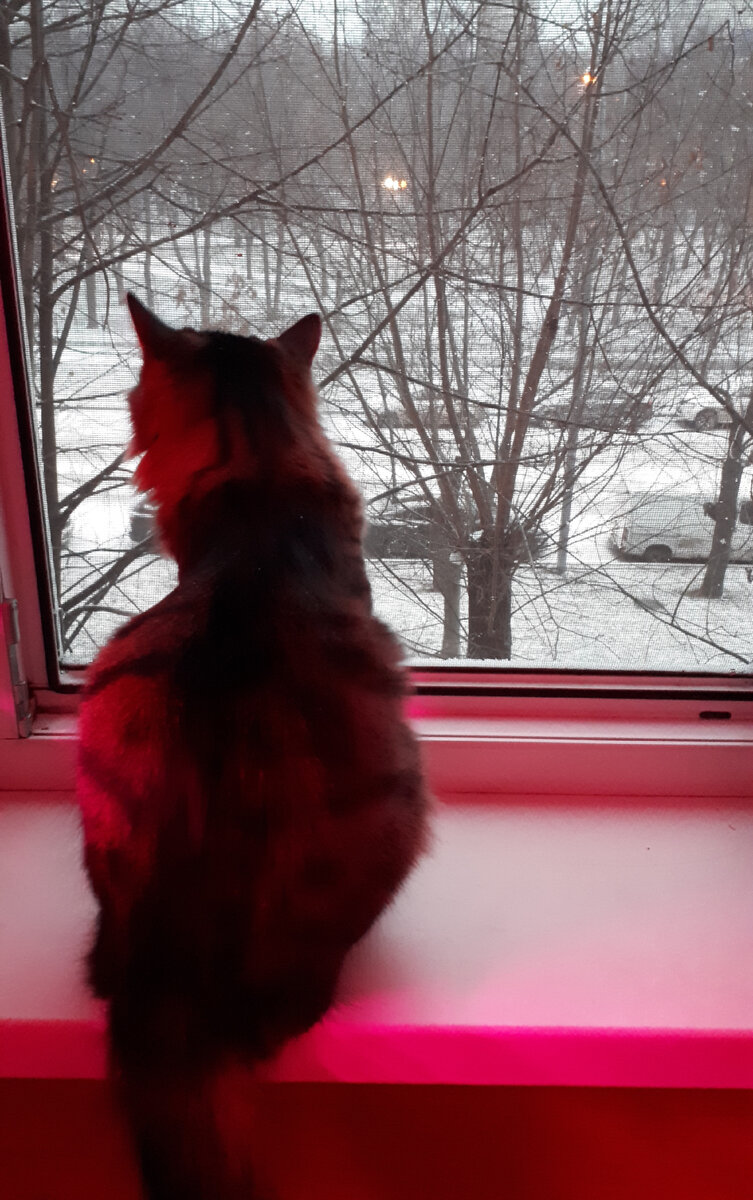 Сильная женщина плачет у окна..