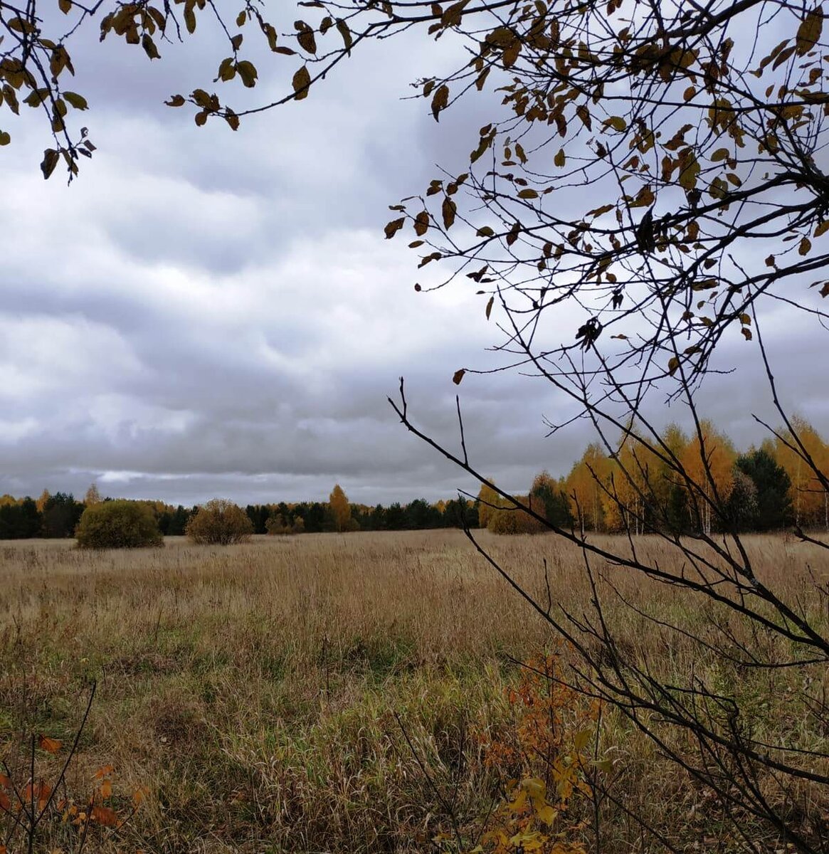 Фото осени.