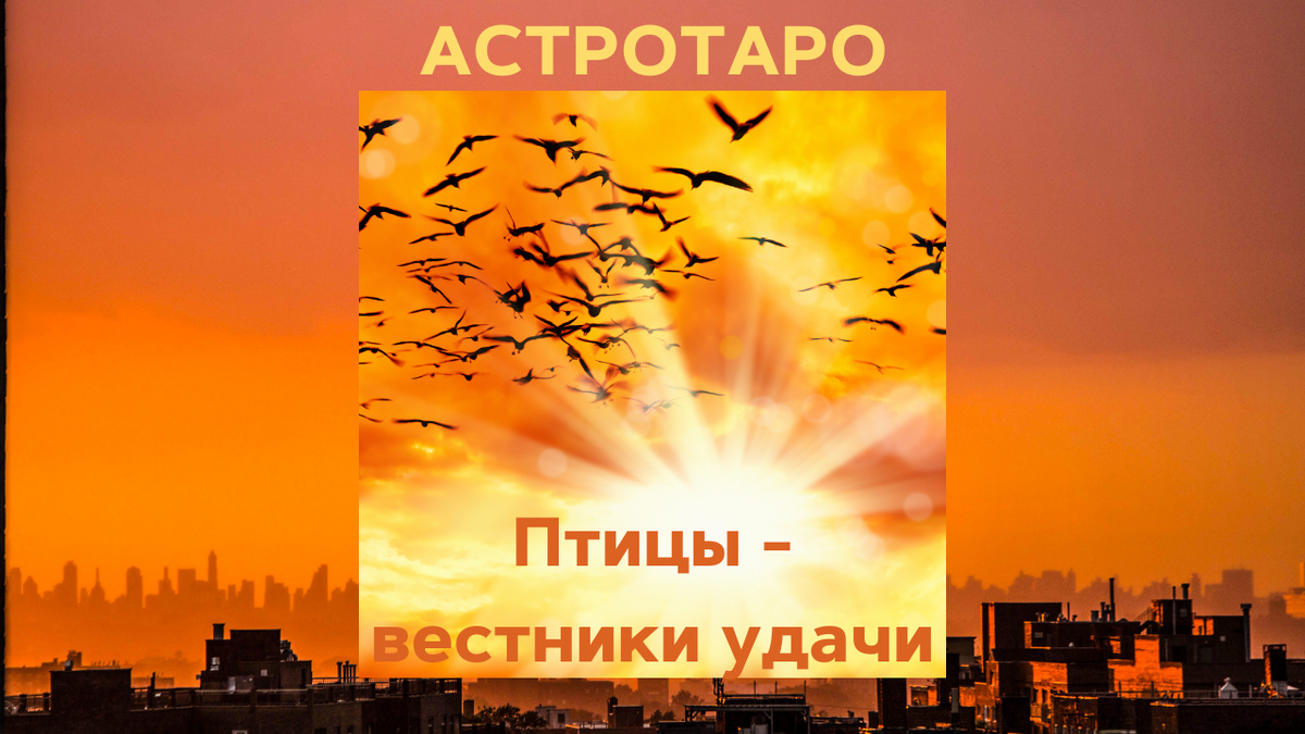 Птицы - вестники удачи