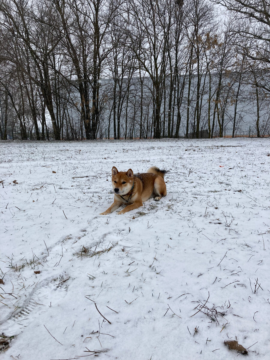 Тимыч, почти 3 года