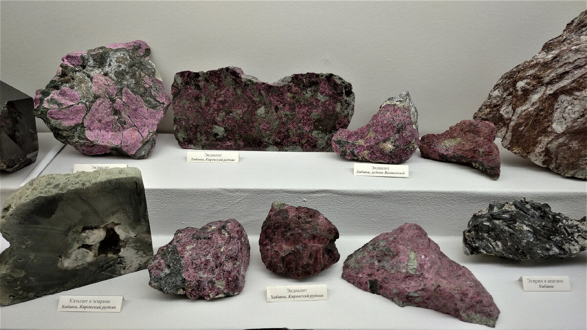 Фото из личного архива Милены Ковылиной.