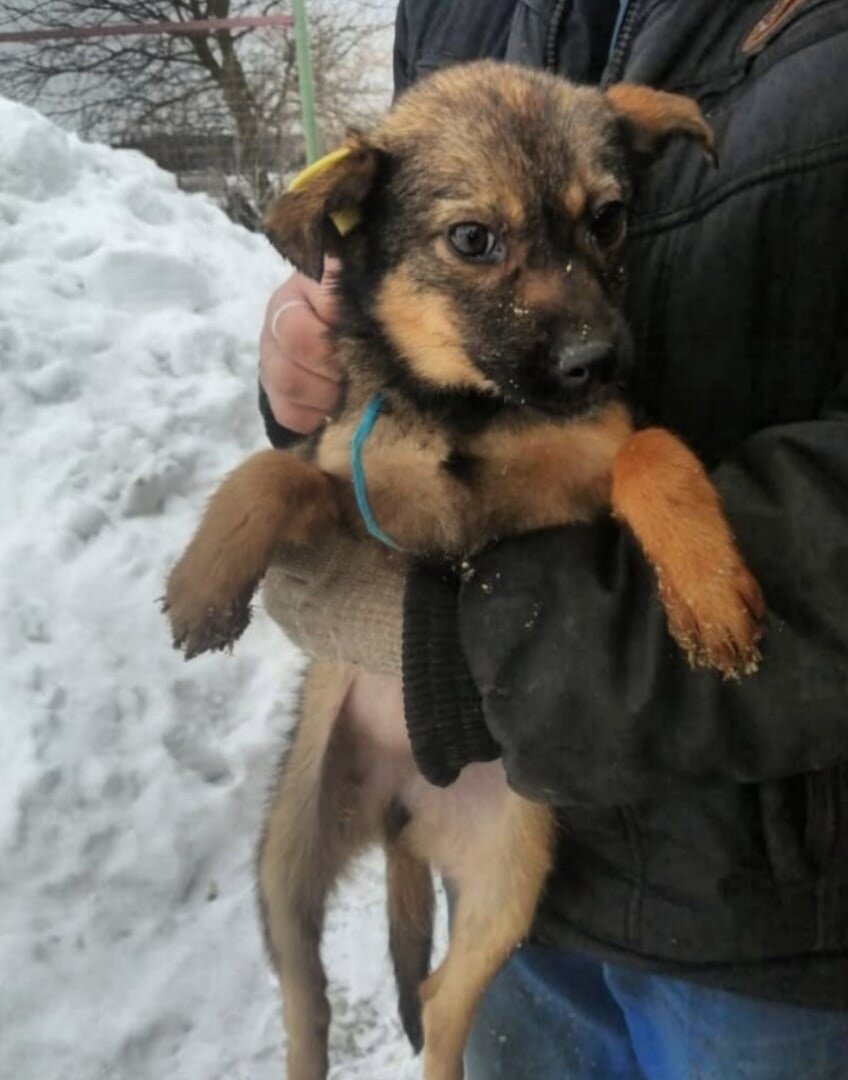 Нам показали эту крошку, а мы - той семье. Неужели повезло малышке