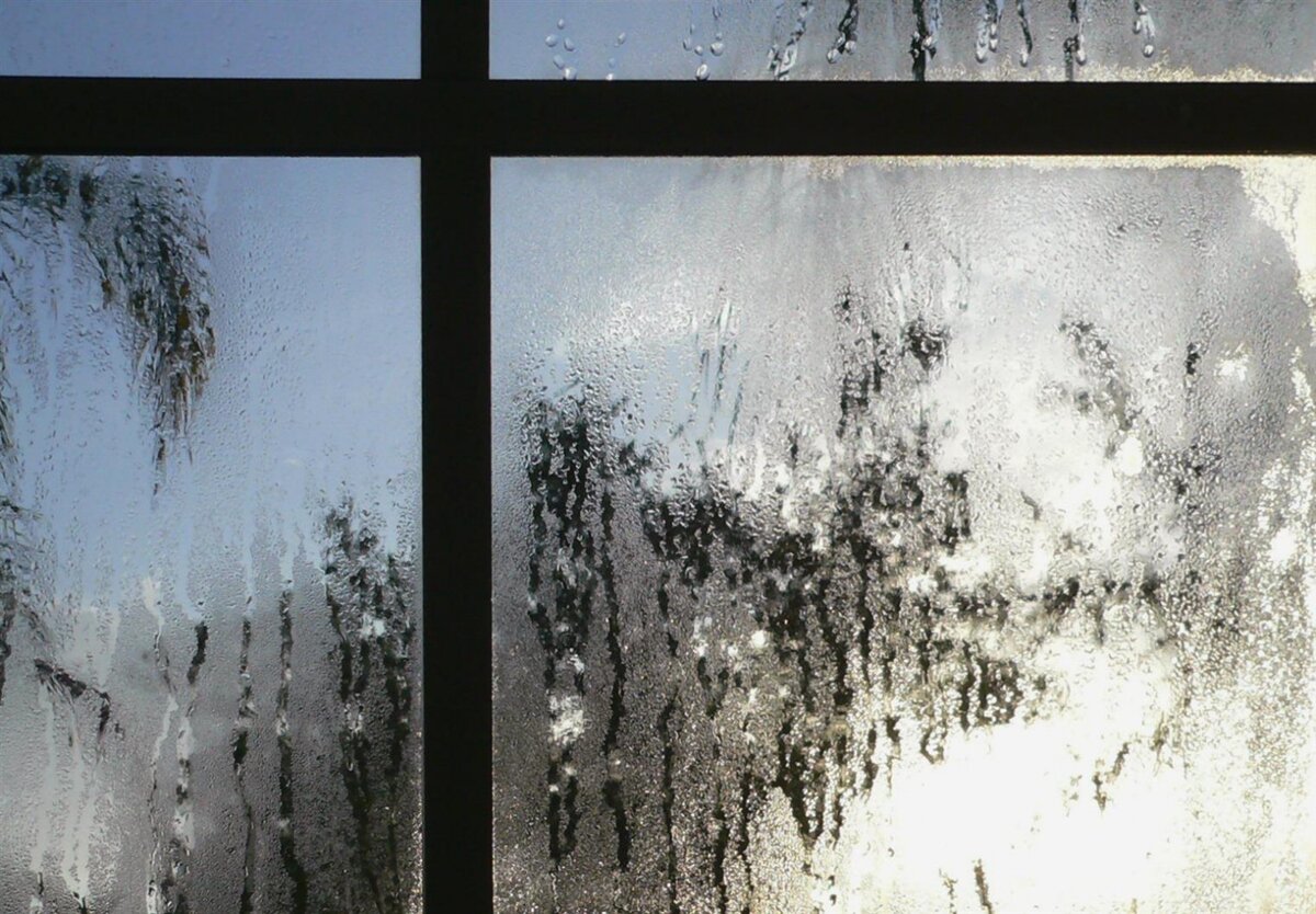 Фото с сайта Конвейт