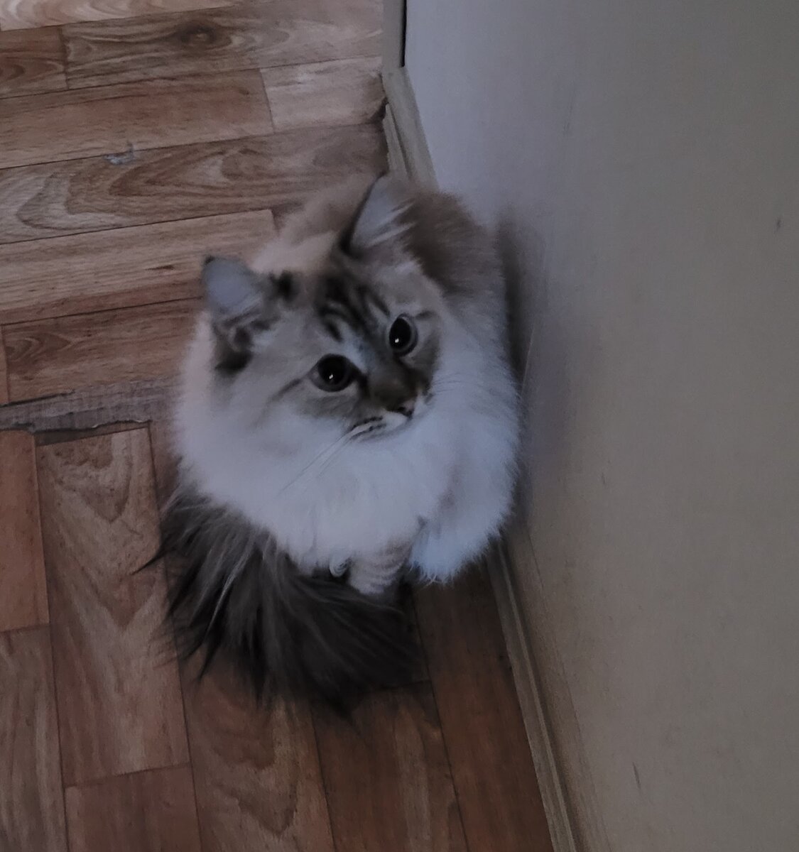 Поиграешь со мной?!