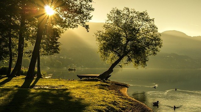 Фото: pixabay.com