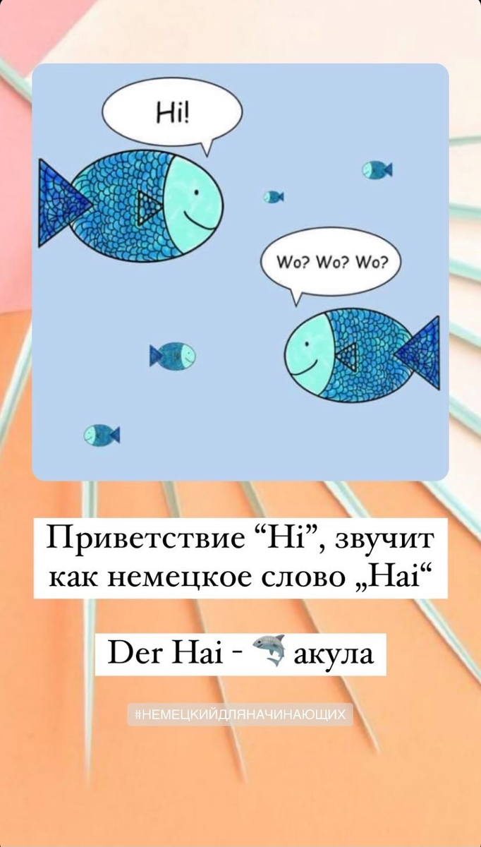 der Hai - акула