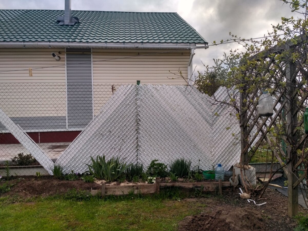 Май 2019 года