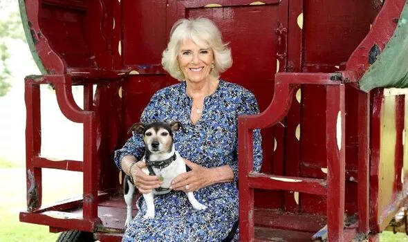 Фото из сети Интернет