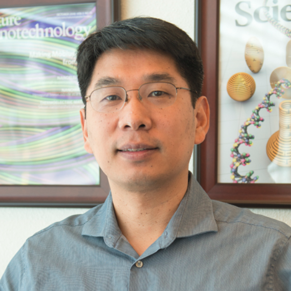 Хао Янь является экспертом в области ДНК-оригами, которая в последние два десятилетия существенно продвинулась в построения все более сложных структур наномасштаба, в тысячу раз меньшем, чем ширина человеческого волоса. Технология дает надежду на революцию в медицине.