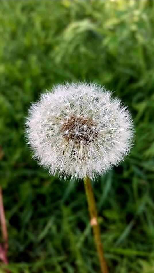 Фото из личного архива автора. 