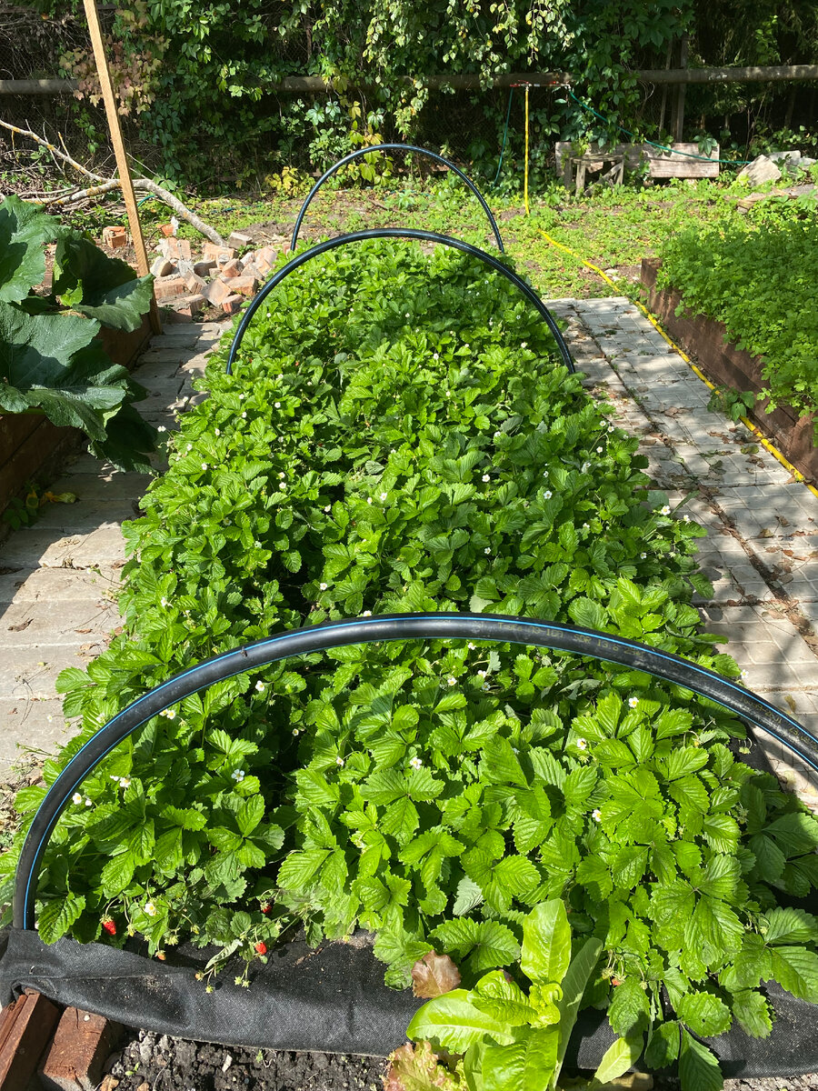 Конец августа.