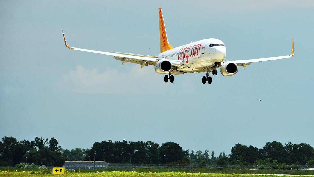    Pegasus Airlines© РИА Новости . Георгий Зимарев