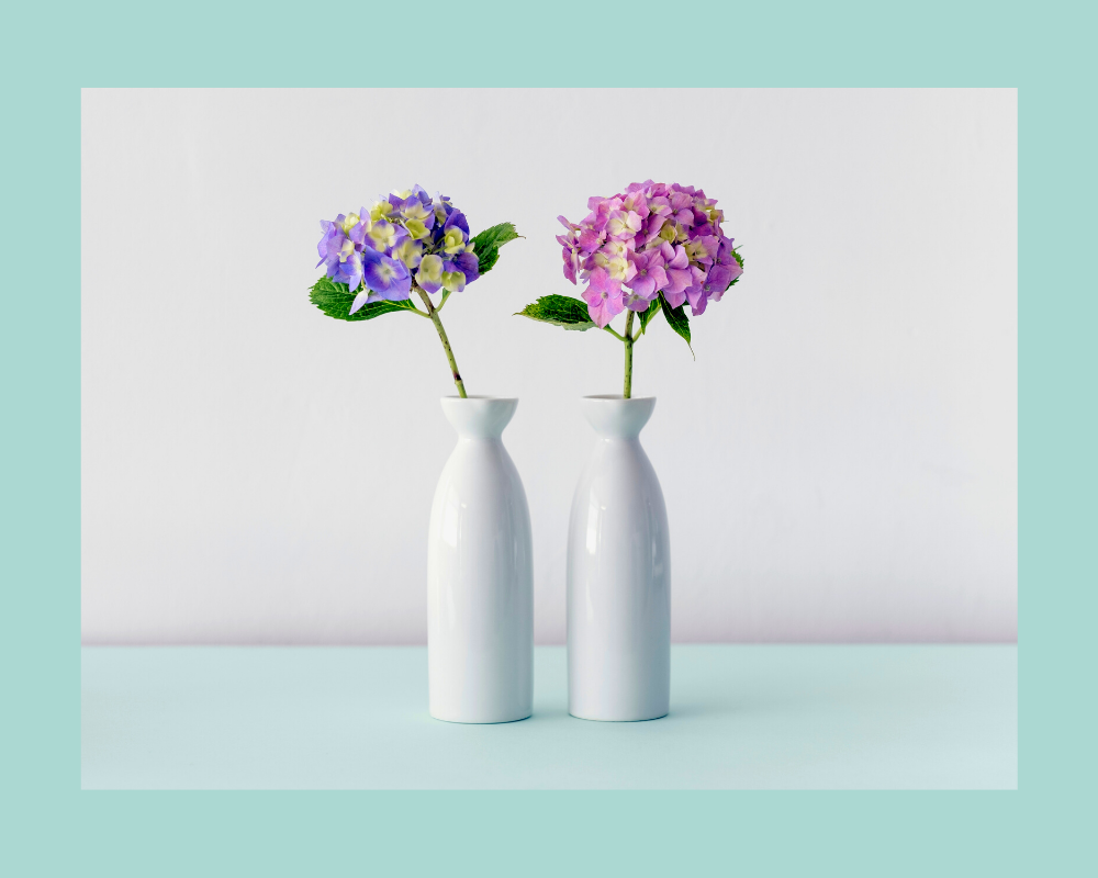 Фото: canva, обработка автора