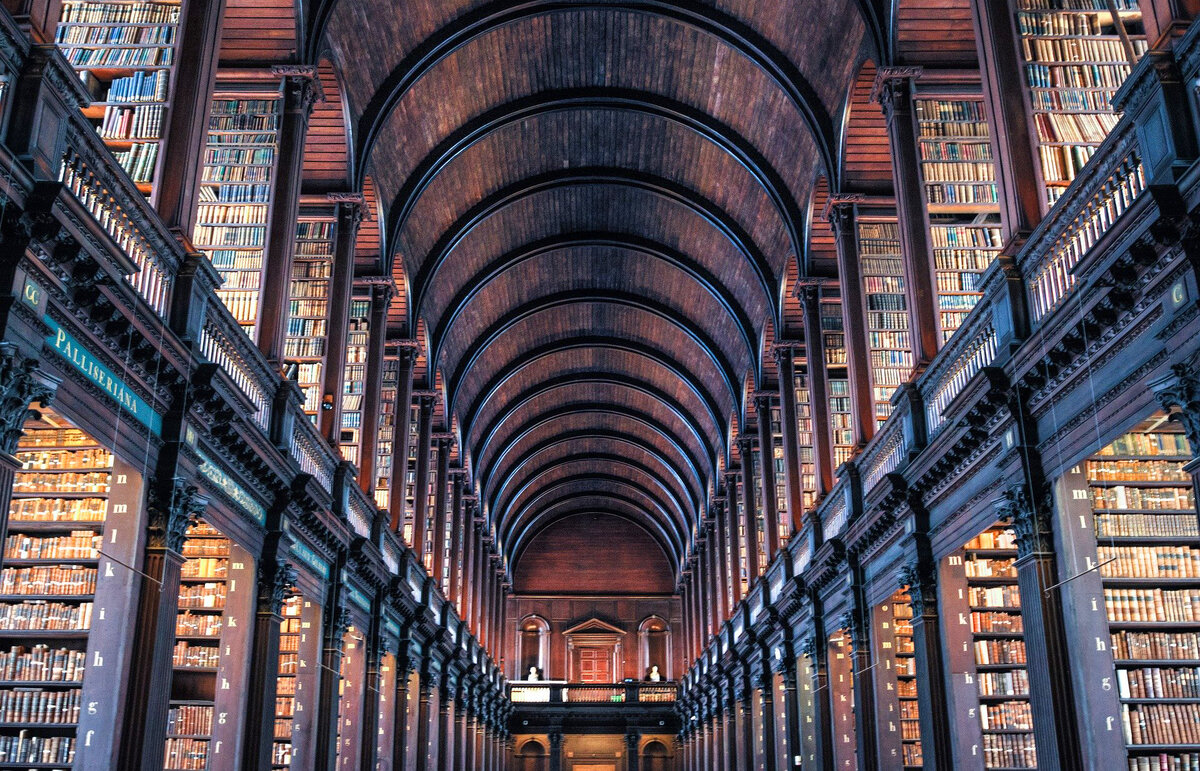 Дублин. Библиотека в колледже. Изображение Rudy and Peter Skitterians с сайта Pixabay