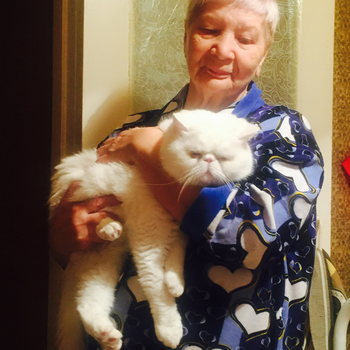 бабуля с котом Саймоном