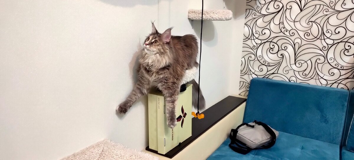 Охота на тени