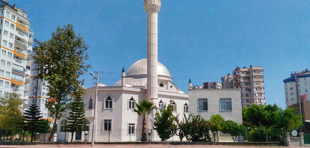 "Восток-дело тонкое"