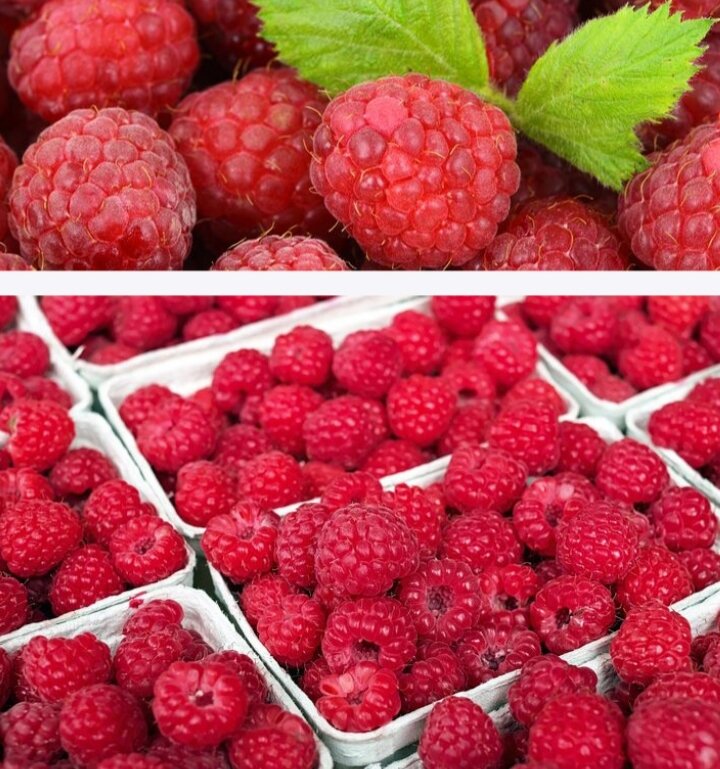 Яркая и ароматная ягодка!