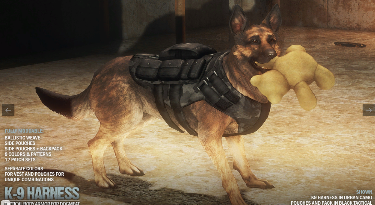Fallout 4 как одеть вещи на собаку фото 96