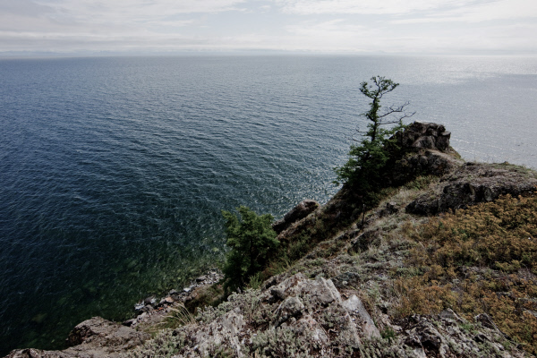     Таким образом он, наверное, подсознательно или сознательно, мстит (всем нам) 