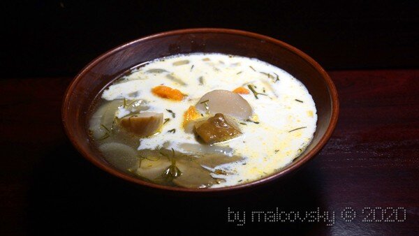 Грибовница из свежих белых грибов