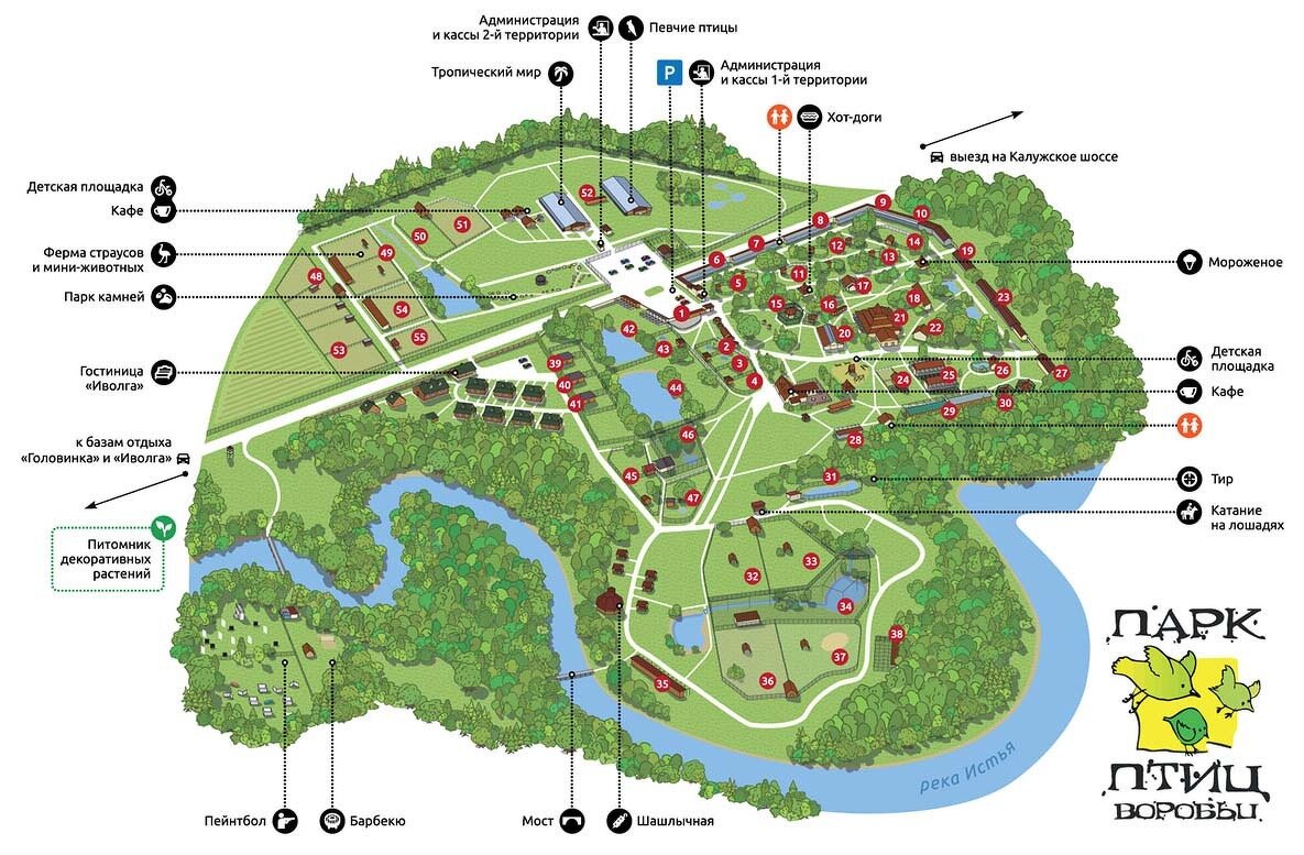 Карта bird. Парк птиц Воробей план. Парк птиц воробьи Калужская область. Парк птиц воробьи 2 территория. Парк птиц воробьи карта парка.