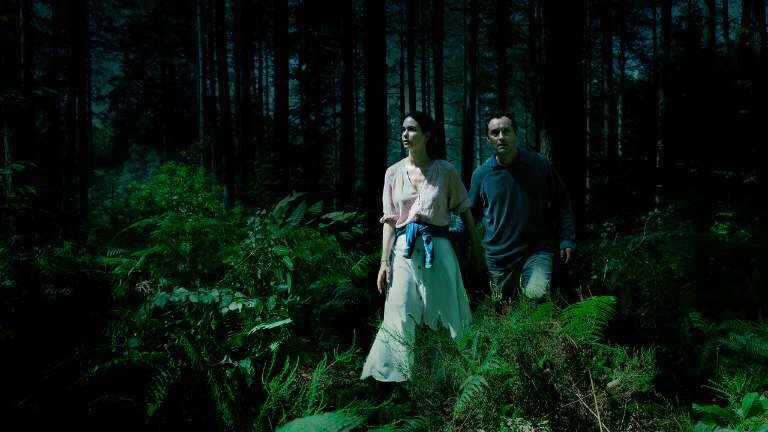 Мы из лесу вышли и снова зашли