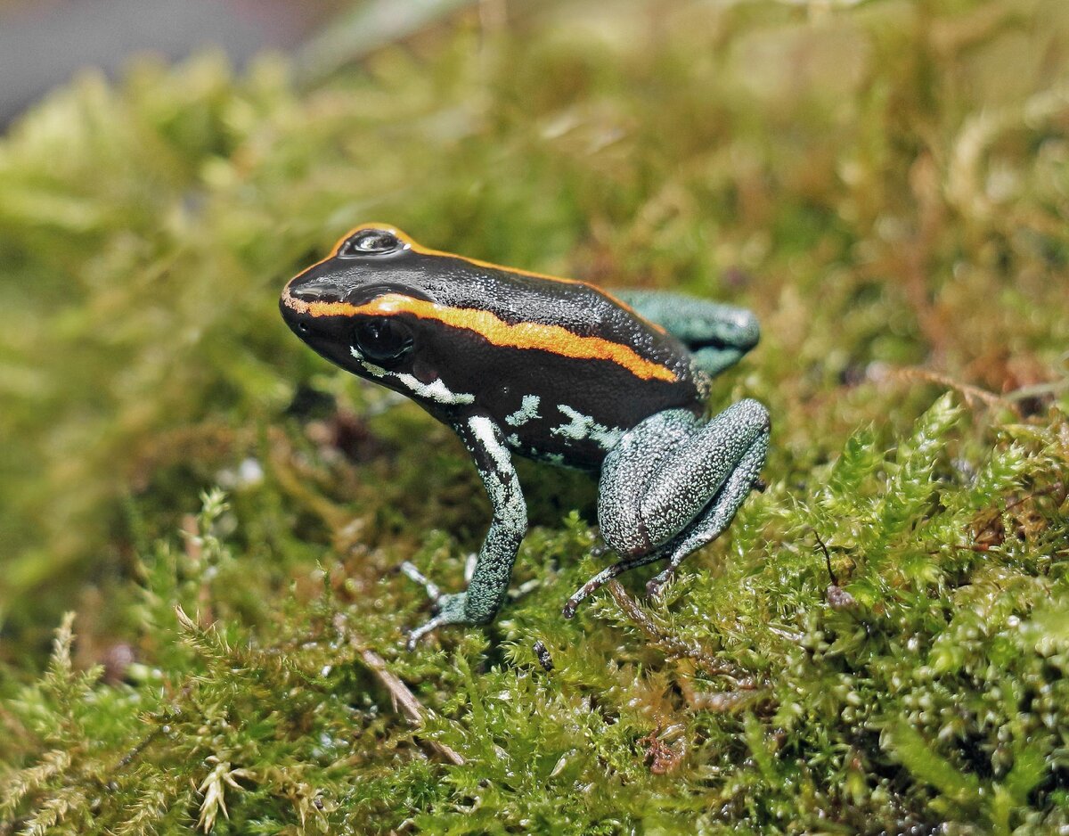 Фото взято с открытых источников