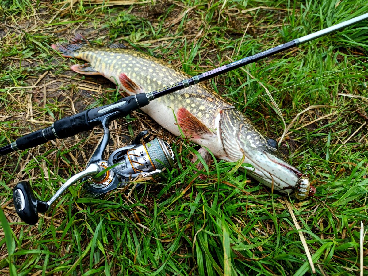 Все фотографии - автора