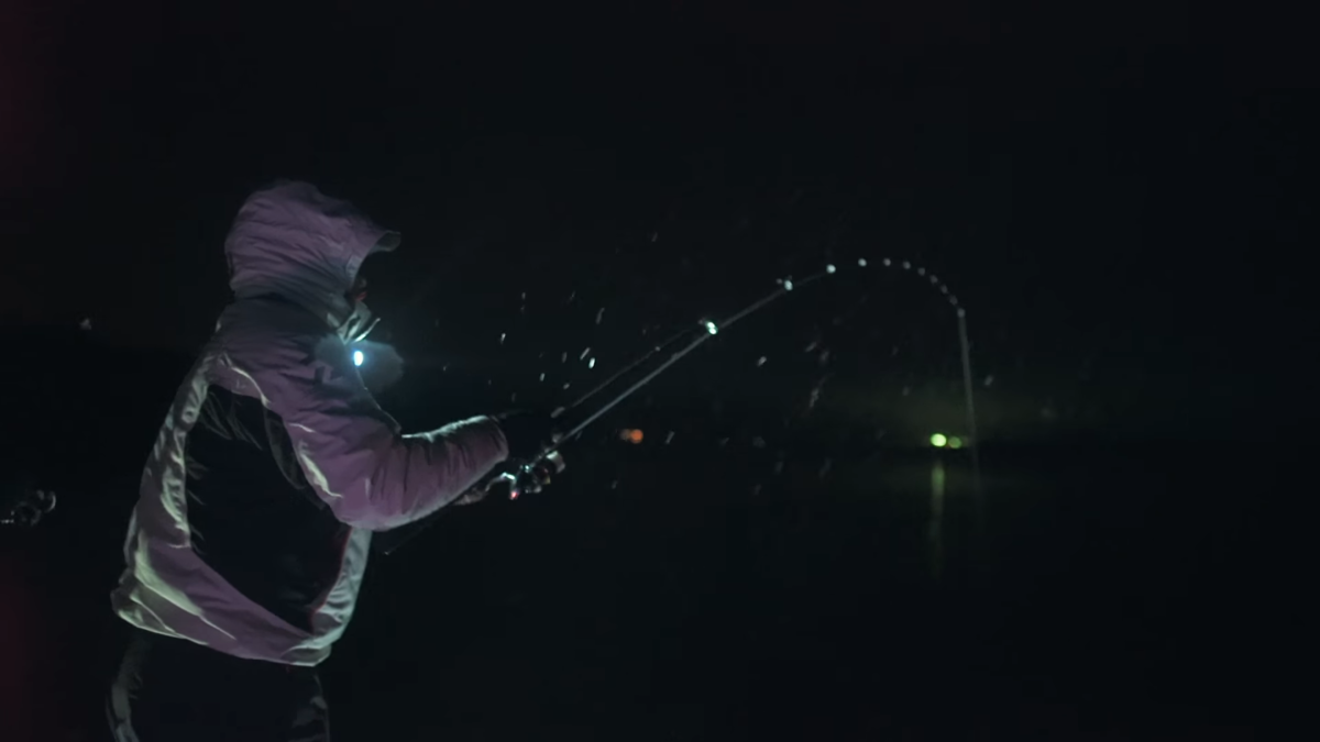 Ночная ловля судака