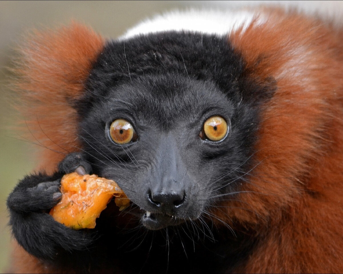 Через 30 мин после, снова перед зеркалом.