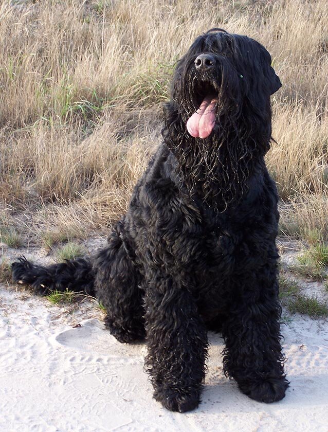 везде фото из открытых источников сети Интернет