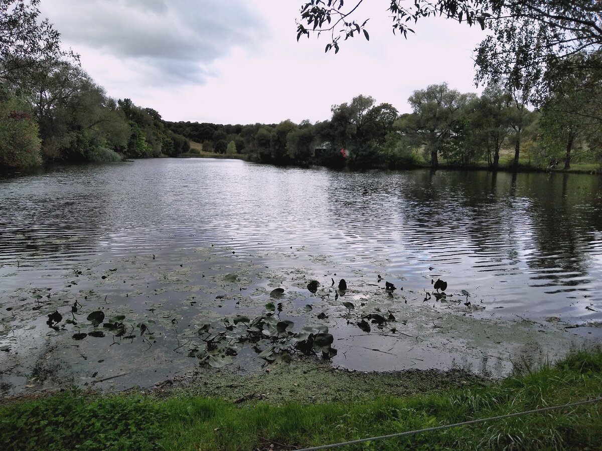 Большой пруд, в котором пыталась утопиться Софья Андреевна. 
Зимой озеро замерзало и вся семья каталась здесь на коньках.