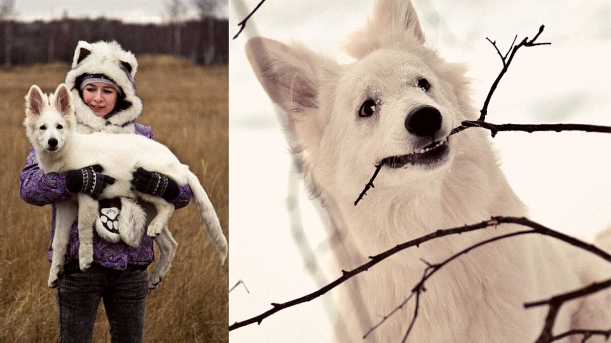 Наша пушистая редакция "Псы Городских Окраин" всегда в поиске интересных тем и вдохновенных идей для новых статей!