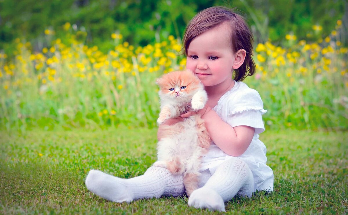 Источник: https://radost-center.ru/images/blog/content/pitomci-02@2x.jpg