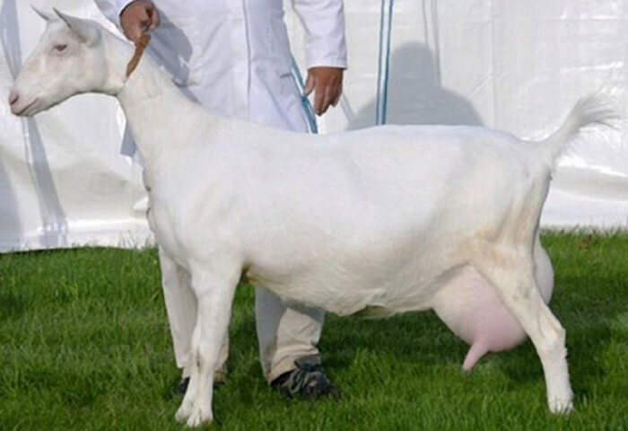 фото взято на просторах интернета.