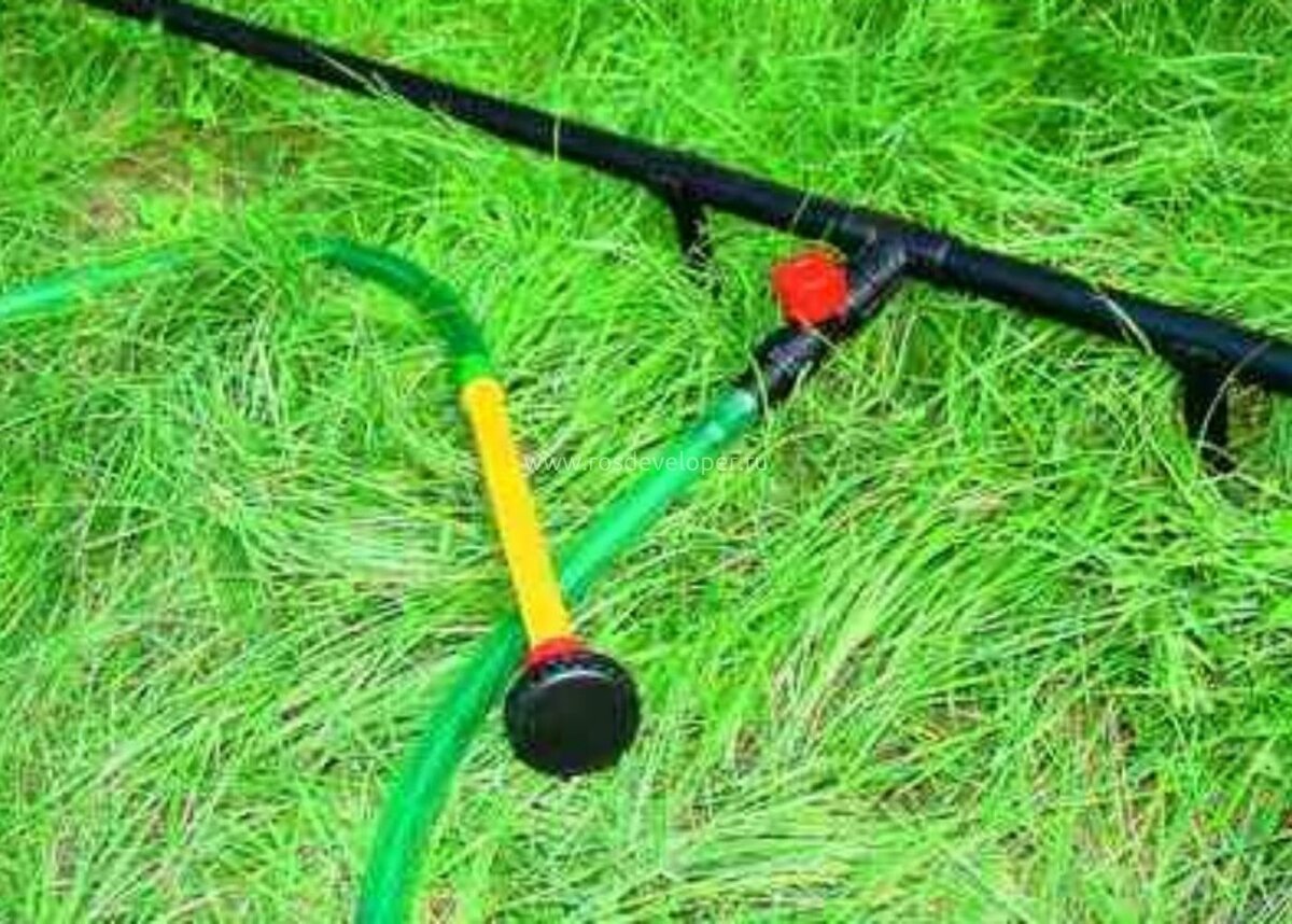 Недвижимость, стройка, дизайн - Росдевелопер.