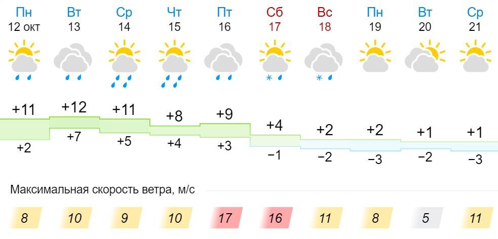 Погода круглое на 3. Климат Новосибирска. Погода в Новосибирске. Новосибирск погода -40. НГС погода в Новосибирске.