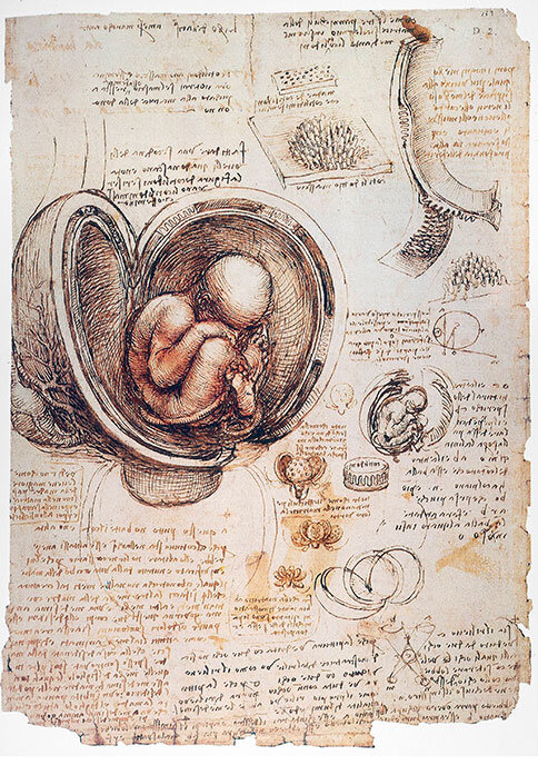 Рисунок Леонардо Да Винчи. Около 1510 г.