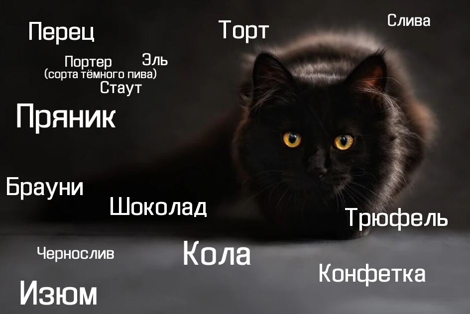 Имя для черного кота мальчика