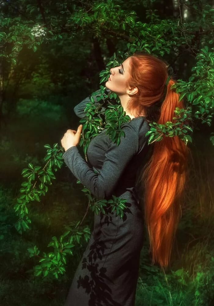 оригинал смотрите ниже