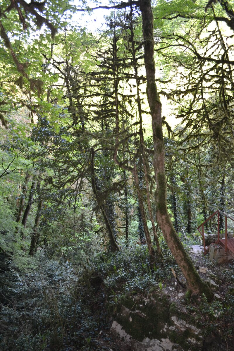 Музей природы. Фото из личного архива