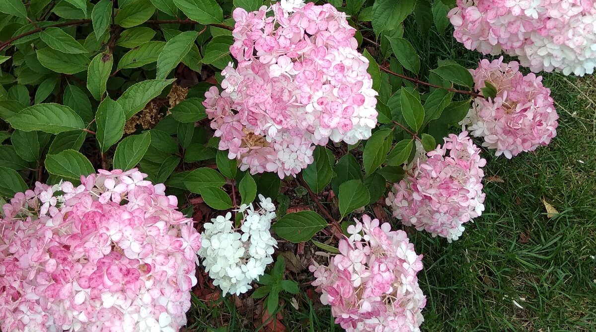 Двери в Фен Шуй. Фото автора.