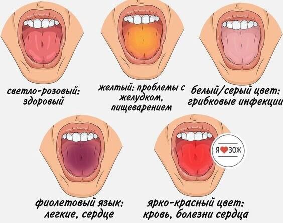 Наука и Факты
