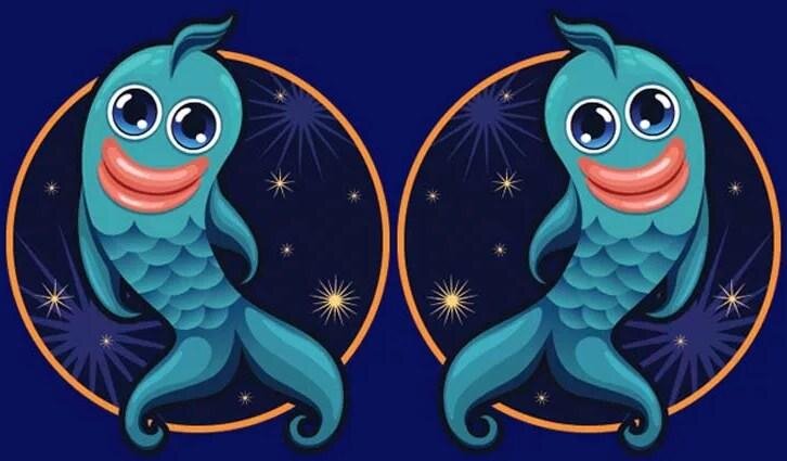 Представительницы прекрасного пола притягивают партнера на подсознательном уровне. Чтобы завоевать девушку понадобится проявлять максимум ласки, нежности и заботы. Рыбы почувствуют любую игру или лицемерия благодаря развитой интуиции. В отношениях женщина никогда не бросится в омут с головой. Ей важно иметь общие интересы с мужчиной, его ухаживания.