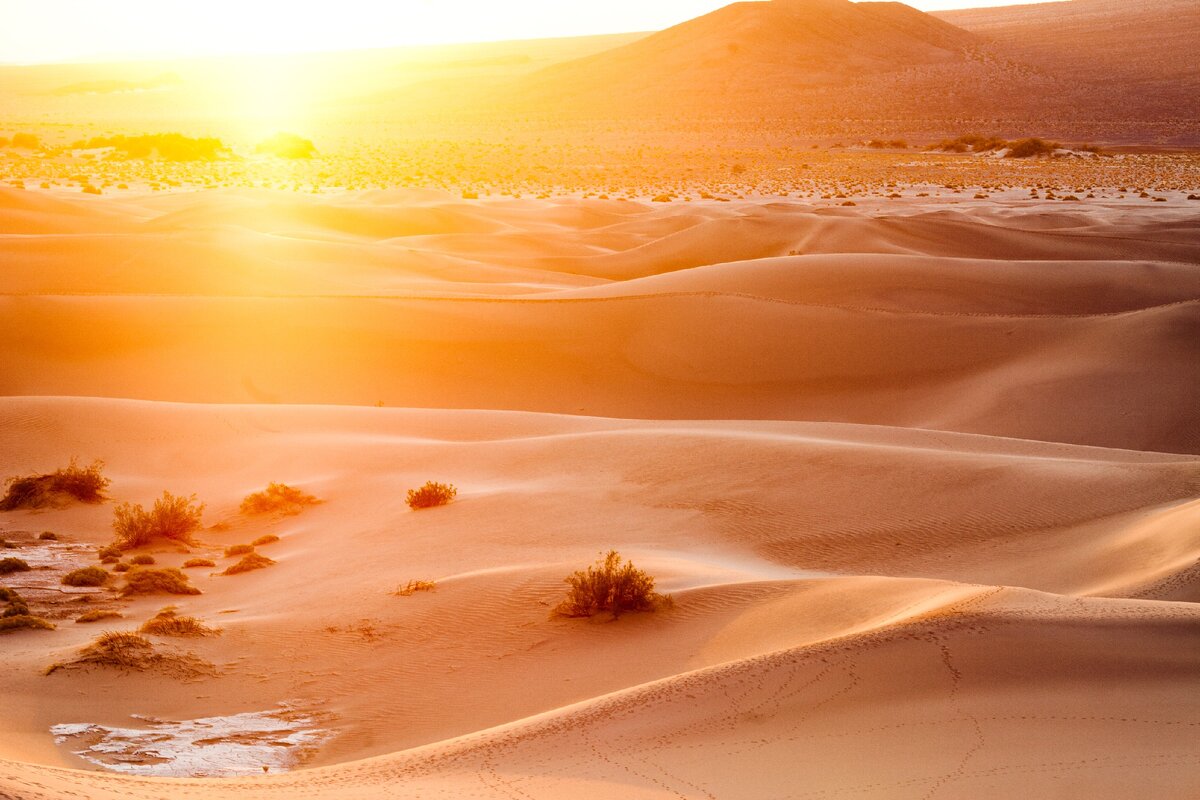 Фото с Яндекс.Картинки
