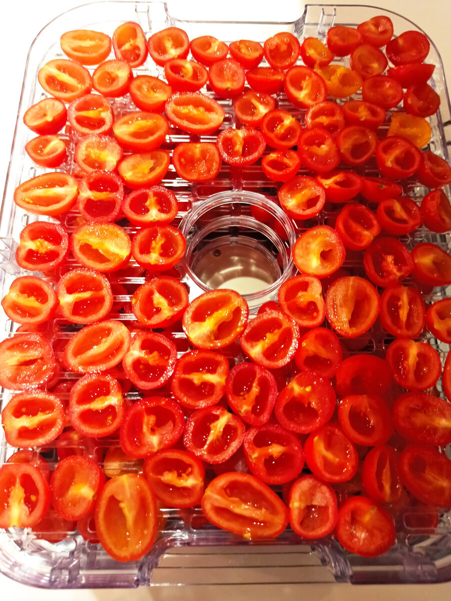 Сушилка для овощей и фруктов Kitfort KT-1903