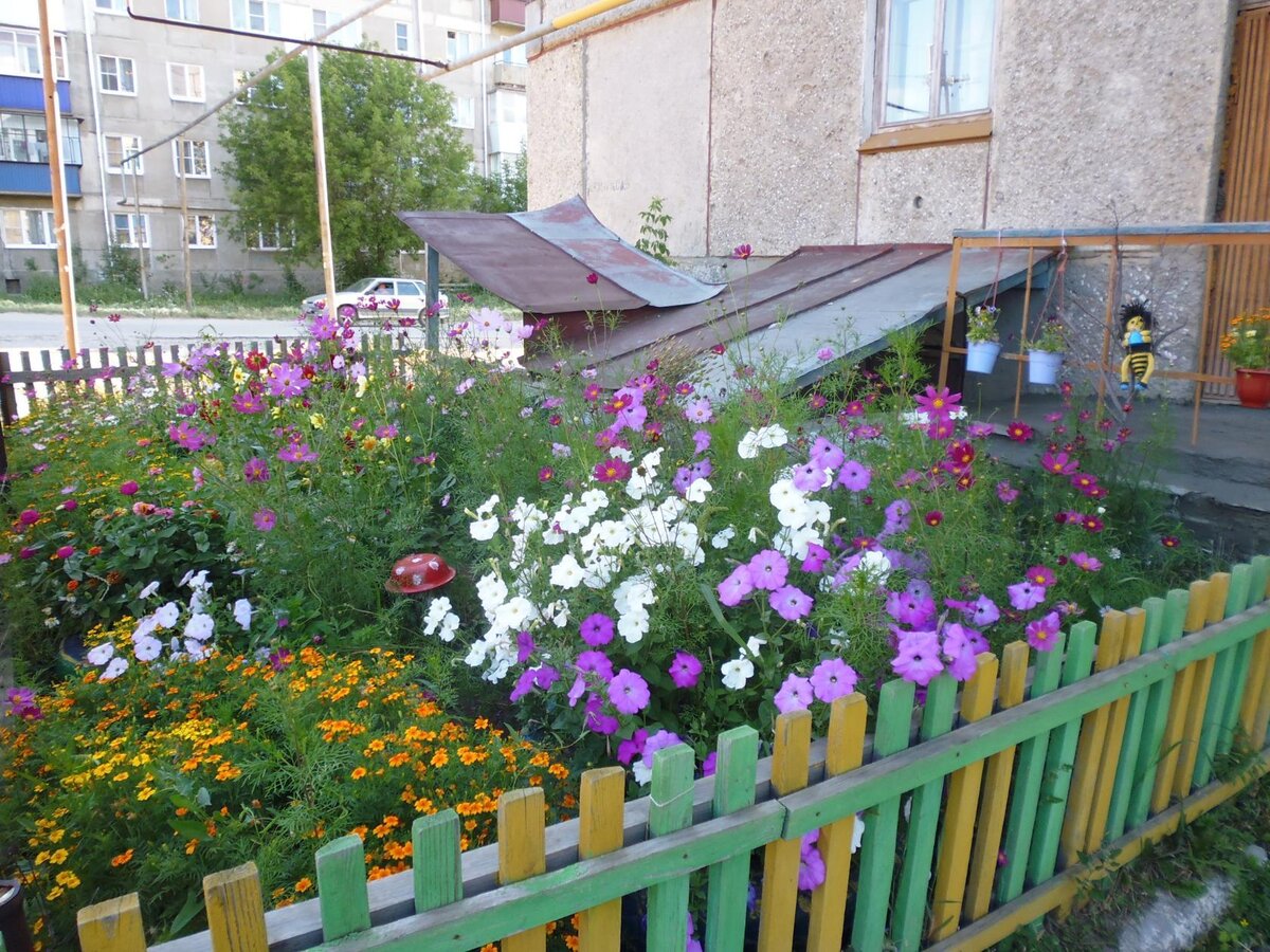 Доброго здравия, читатель!